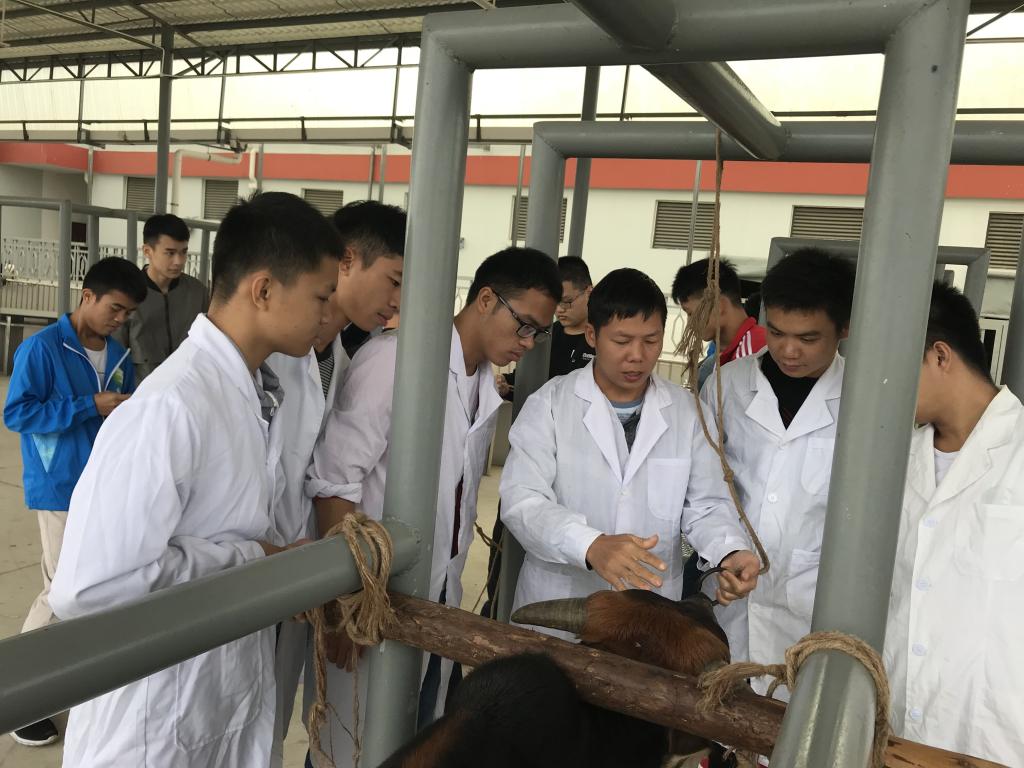 學畜牧技術，走致富之路——畜牧漁業飼料銷售的關鍵策略